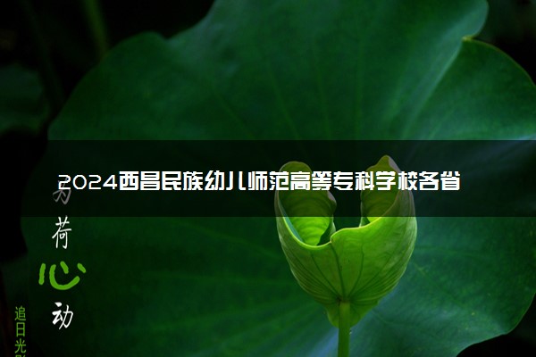 2024西昌民族幼儿师范高等专科学校各省录取分数线是多少 附历年最低分