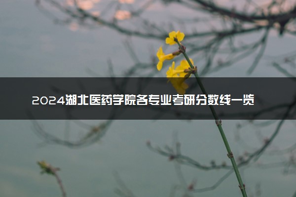 2024湖北医药学院各专业考研分数线一览表 历年复试线汇总