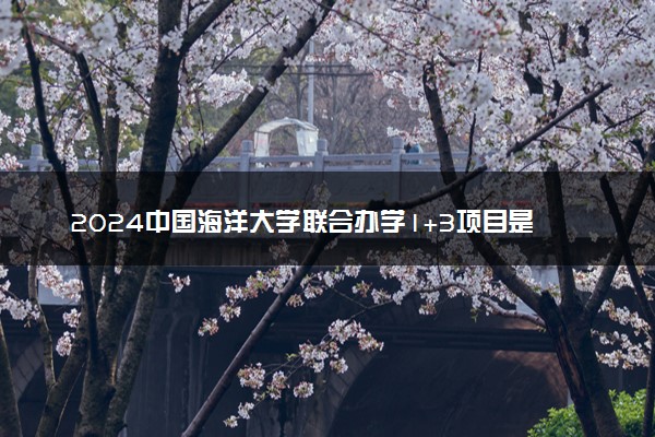 2024中国海洋大学联合办学1+3项目是什么 含金量如何