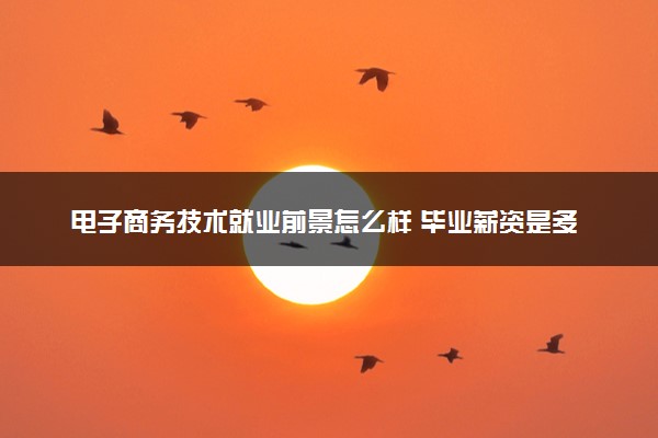 电子商务技术就业前景怎么样 毕业薪资是多少