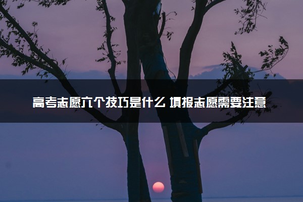 高考志愿六个技巧是什么 填报志愿需要注意什么