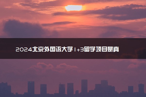 2024北京外国语大学1+3留学项目是真的吗 怎么样好不好