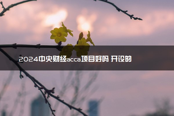 2024中央财经acca项目好吗 开设的专业有哪些