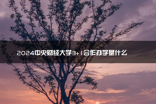 2024中央财经大学3+1合作办学是什么 详细介绍