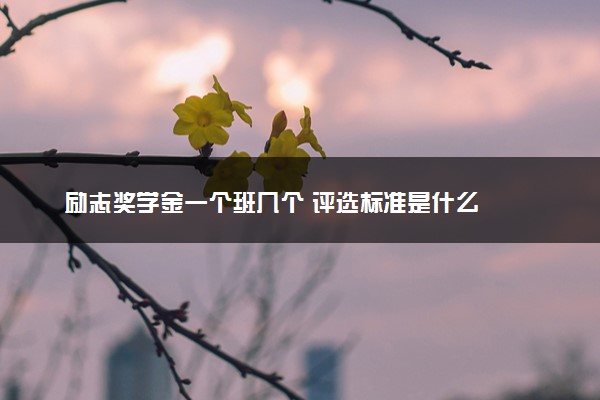 励志奖学金一个班几个 评选标准是什么