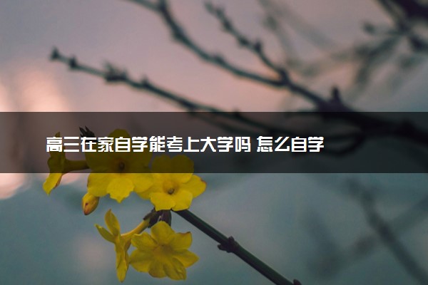 高三在家自学能考上大学吗 怎么自学