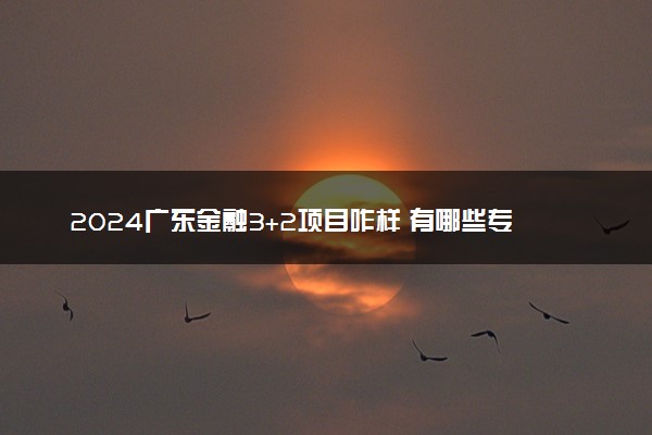 2024广东金融3+2项目咋样 有哪些专业可选