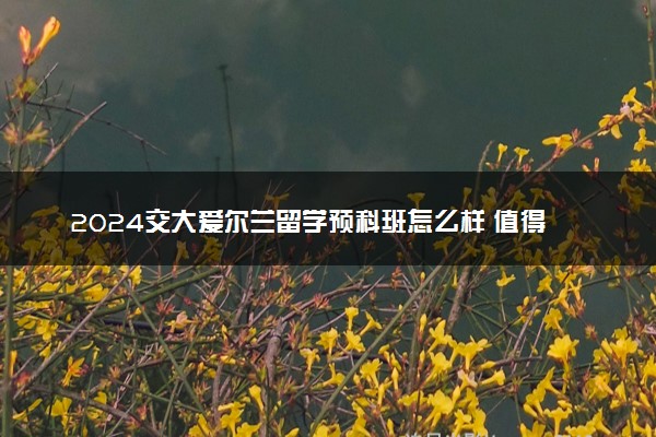 2024交大爱尔兰留学预科班怎么样 值得去吗