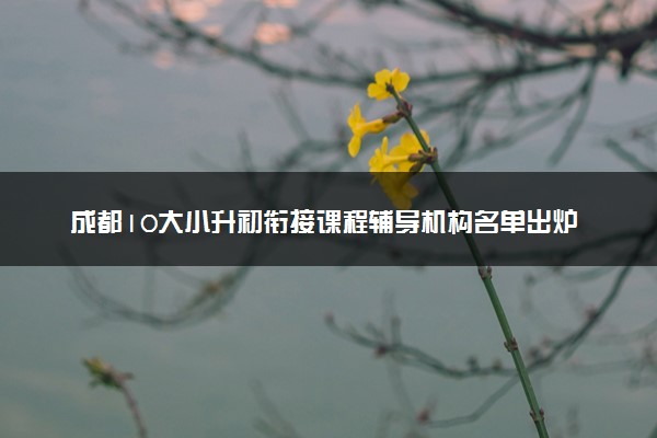 成都10大小升初衔接课程辅导机构名单出炉