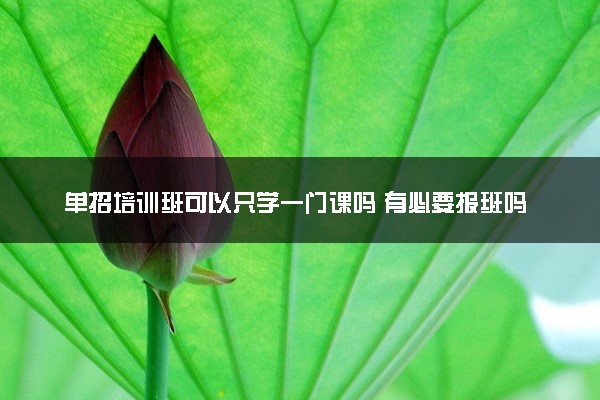 单招培训班可以只学一门课吗 有必要报班吗