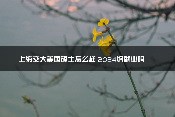 上海交大美国硕士怎么样 2024好就业吗