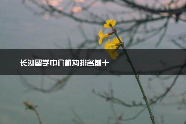 长沙留学中介机构排名前十