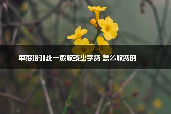 单招培训班一般收多少学费 怎么收费的