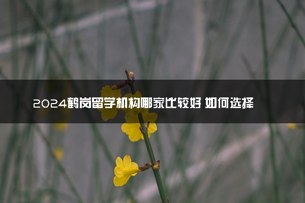 2024鹤岗留学机构哪家比较好 如何选择留学中介