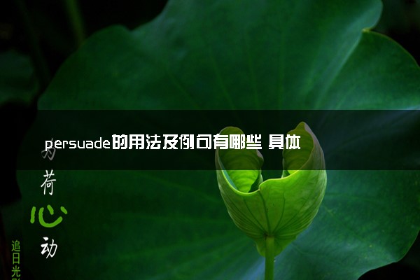 persuade的用法及例句有哪些 具体怎么用