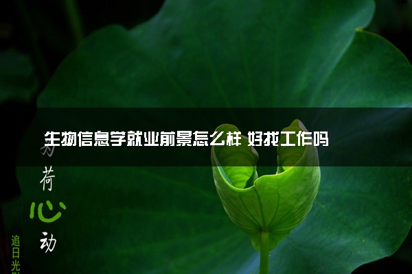 生物信息学就业前景怎么样 好找工作吗