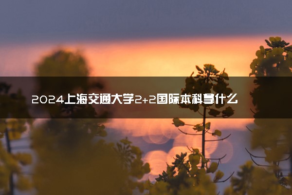 2024上海交通大学2+2国际本科拿什么证书 有教育部备案吗