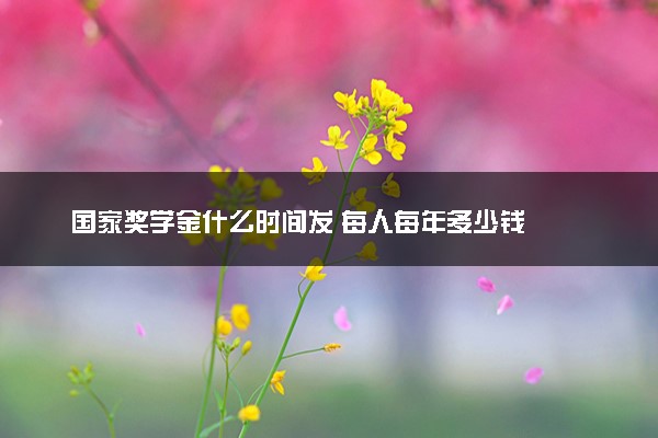 国家奖学金什么时间发 每人每年多少钱