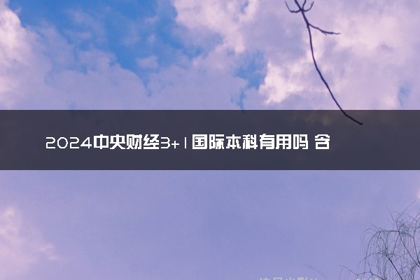 2024中央财经3+1国际本科有用吗 含金量咋样