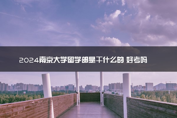 2024南京大学留学部是干什么的 好考吗