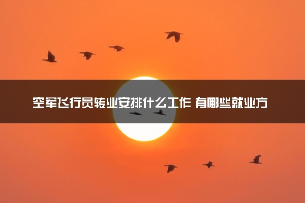 空军飞行员转业安排什么工作 有哪些就业方向