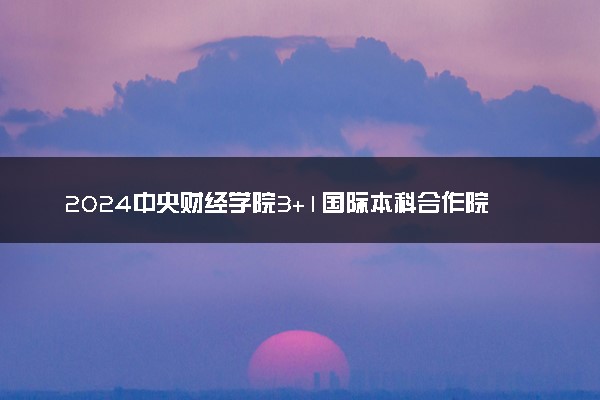 2024中央财经学院3+1国际本科合作院校有哪些 详细名单