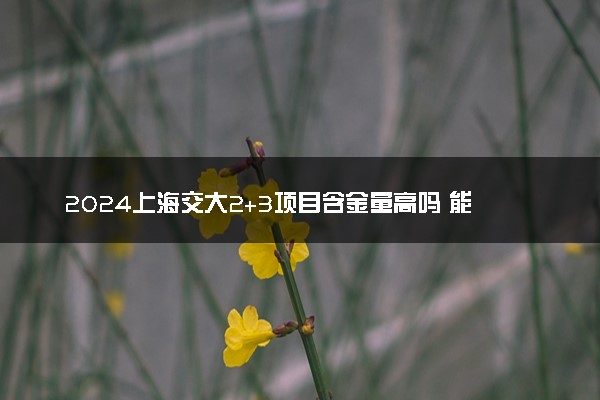 2024上海交大2+3项目含金量高吗 能报考哪些专业