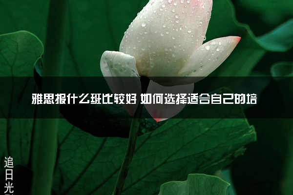 雅思报什么班比较好 如何选择适合自己的培训机构