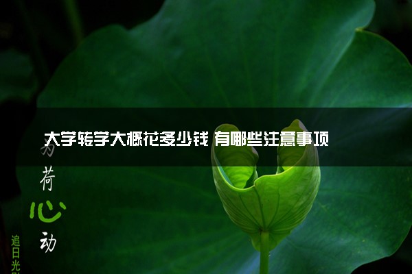 大学转学大概花多少钱 有哪些注意事项