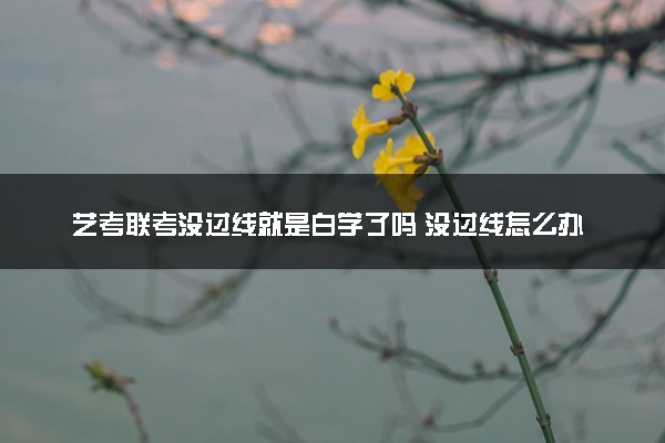 艺考联考没过线就是白学了吗 没过线怎么办