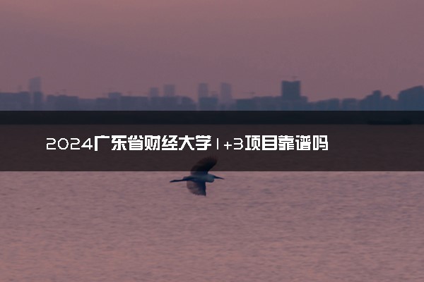 2024广东省财经大学1+3项目靠谱吗 必须要出国吗