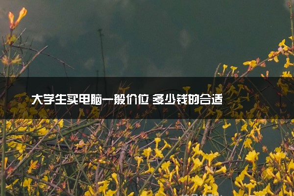 大学生买电脑一般价位 多少钱的合适