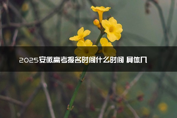 2025安徽高考报名时间什么时间 具体几号报名