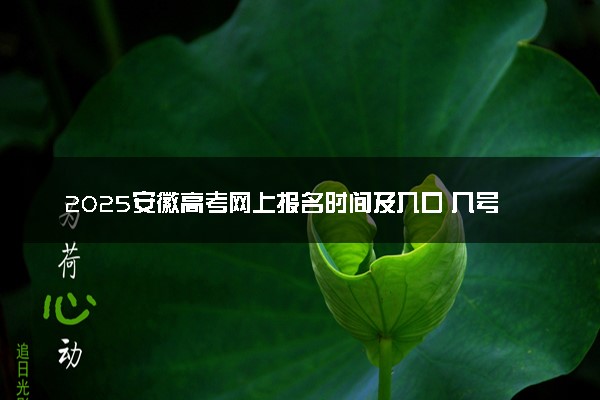 2025安徽高考网上报名时间及入口 几号开始报名