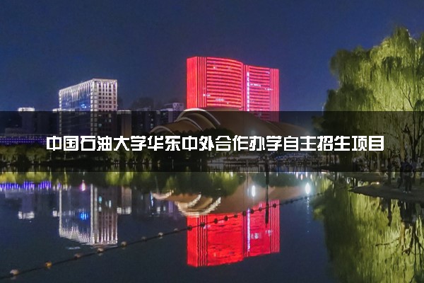 中国石油大学华东中外合作办学自主招生项目