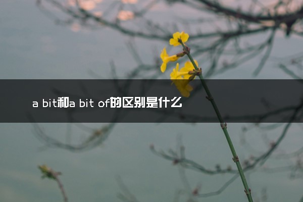 a bit和a bit of的区别是什么 用法介绍