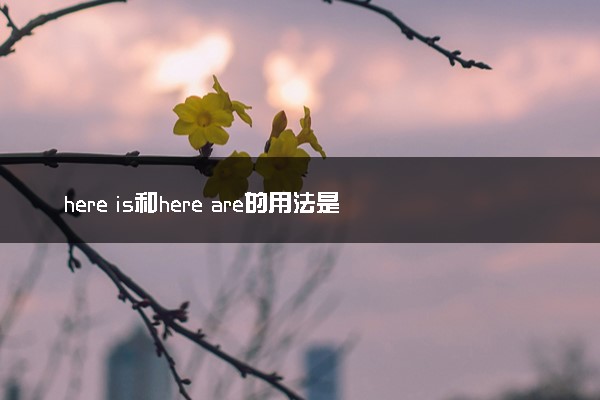 here is和here are的用法是什么 是就近原则吗