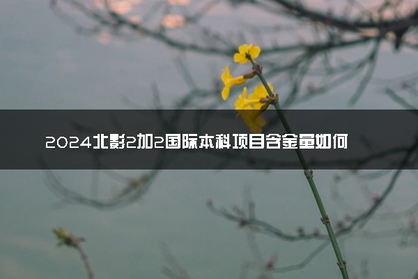 2024北影2加2国际本科项目含金量如何 对接的院校名单