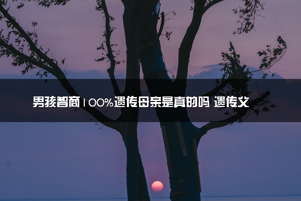 男孩智商100%遗传母亲是真的吗 遗传父亲还是母亲