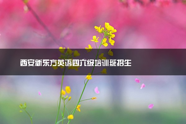 西安新东方英语四六级培训班招生