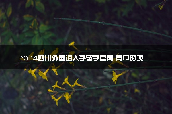 2024四川外国语大学留学官网 其中的项目怎么样