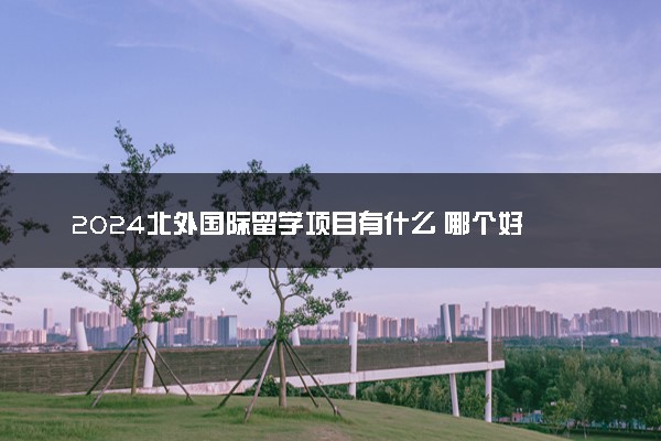 2024北外国际留学项目有什么 哪个好