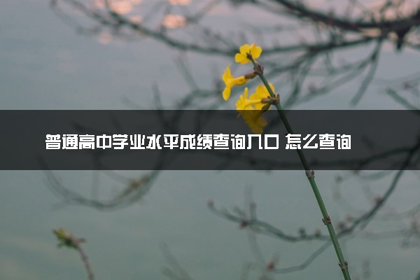 普通高中学业水平成绩查询入口 怎么查询