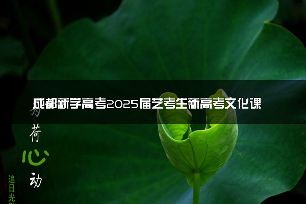 成都新学高考2025届艺考生新高考文化课冲刺班招生简章