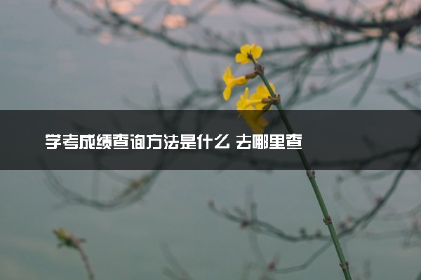 学考成绩查询方法是什么 去哪里查