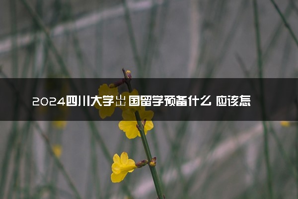 2024四川大学岀国留学预备什么 应该怎么申请