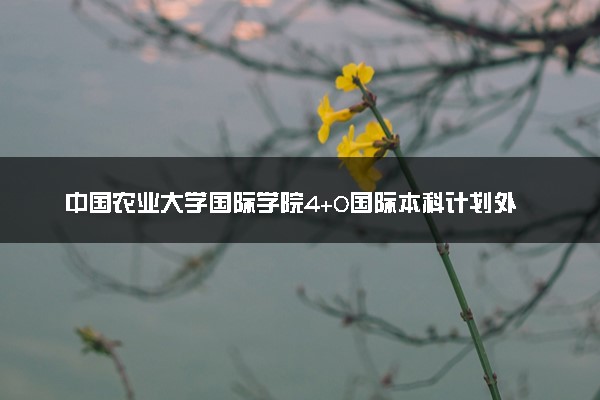 中国农业大学国际学院4+0国际本科计划外自主招生项目