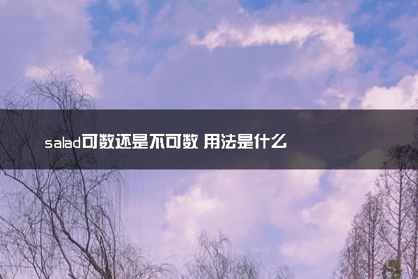 salad可数还是不可数 用法是什么