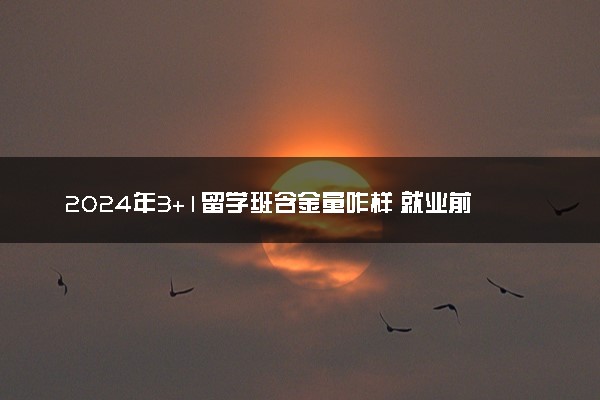 2024年3+1留学班含金量咋样 就业前景怎么样