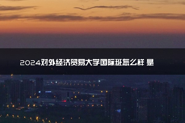 2024对外经济贸易大学国际班怎么样 是什么性质